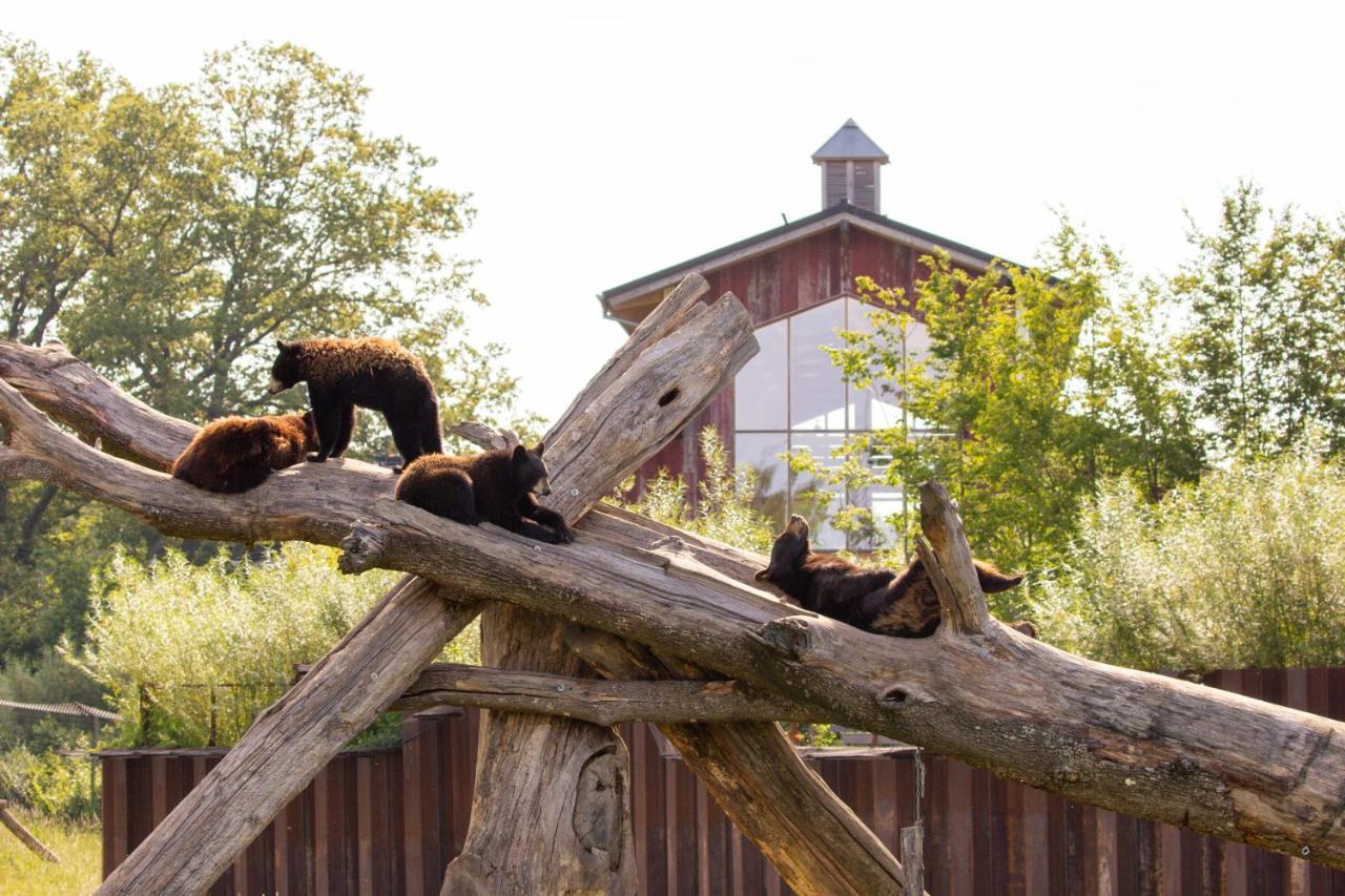 Parc Animalier De Sainte-Croix Hotell Rhodes Exteriör bild